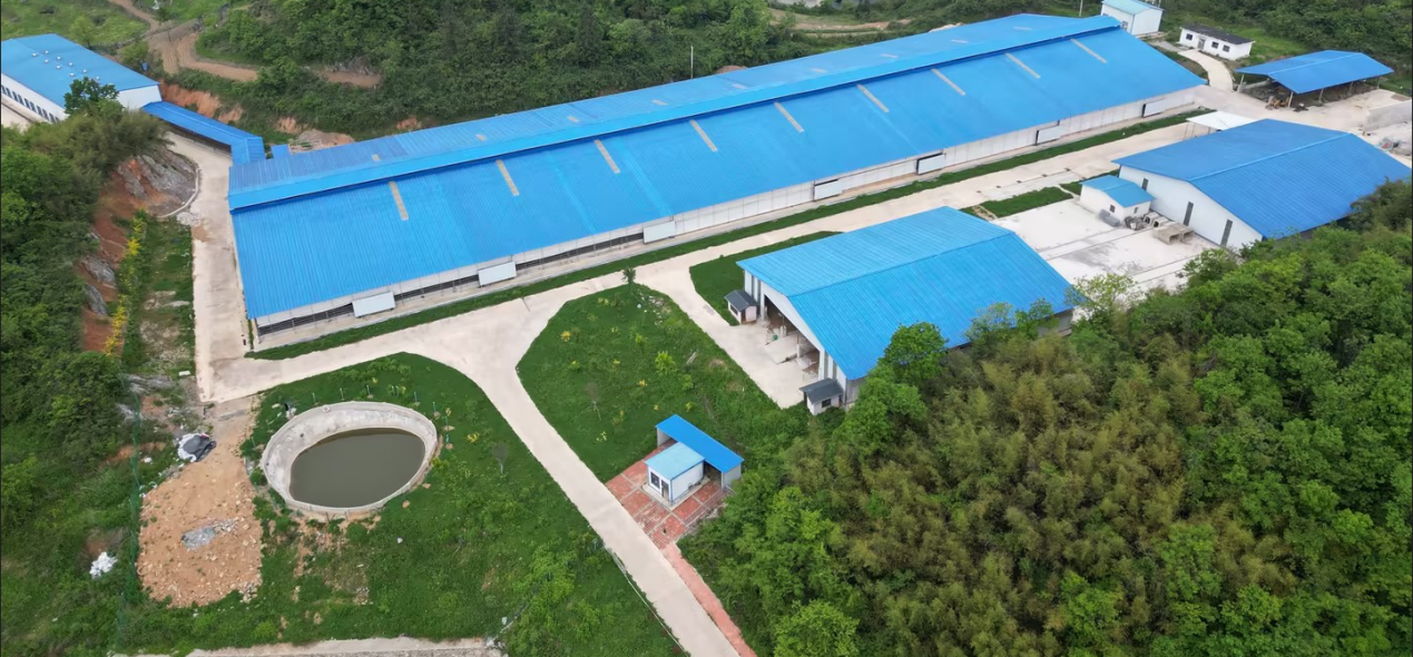 宜昌喜旺食品有限公司高山牧场 宜昌喜旺食品有限公司高山牧场