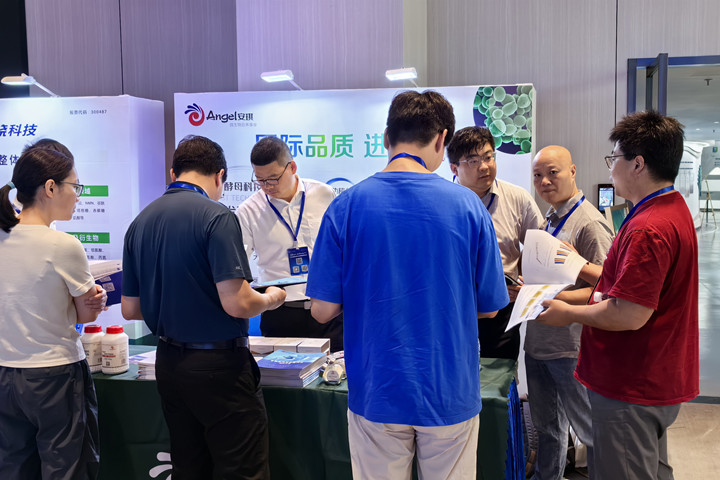 安琪酵母股份有限公司特设展位