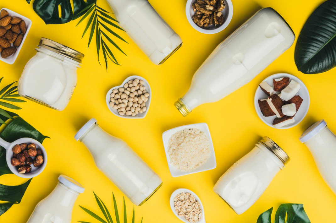 健身达人的蛋白新宠