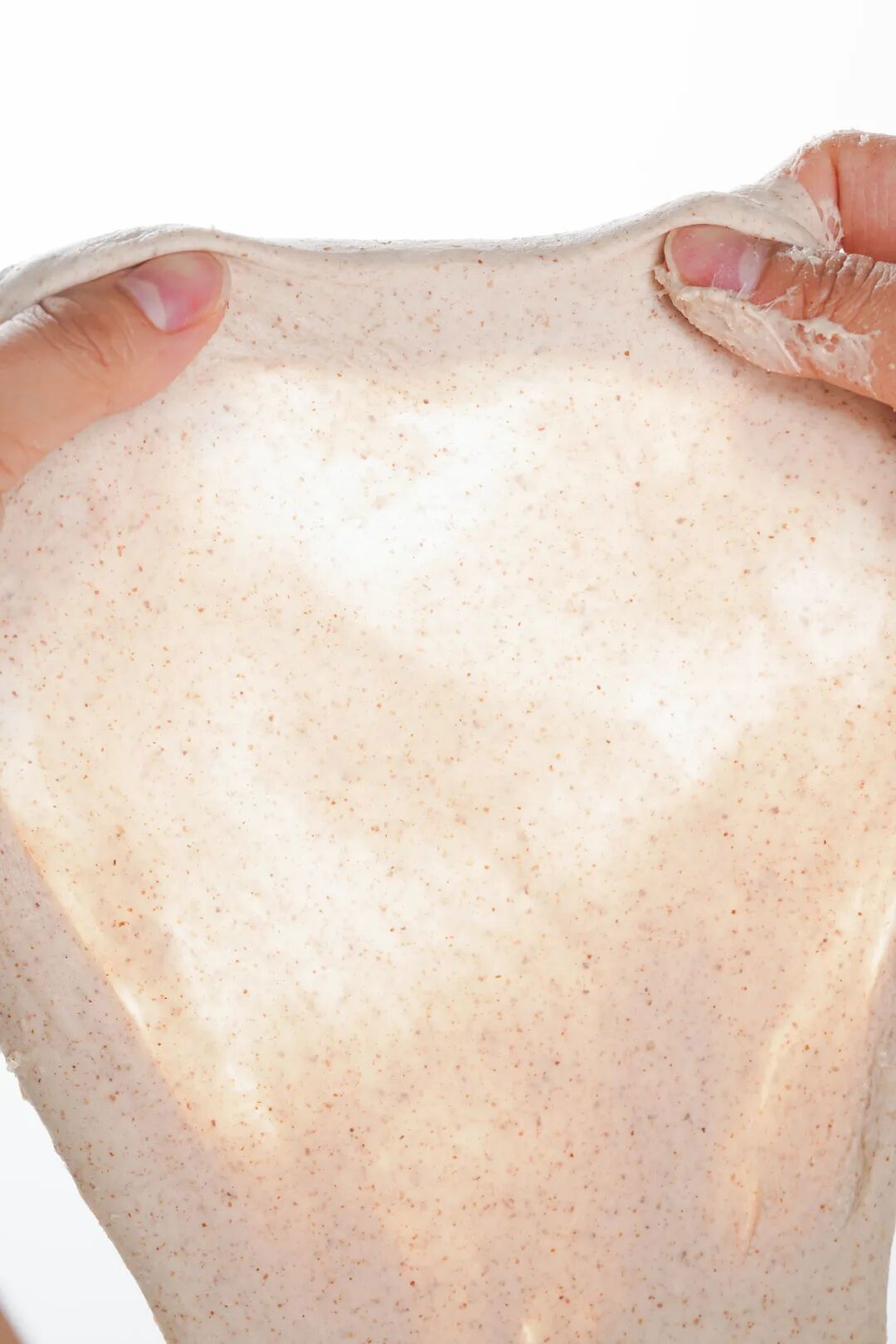 吐司长不高的主要原因