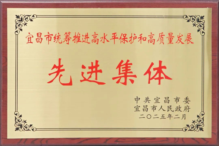 安琪集团获评“宜昌市统筹推进高水平保护和高质量发展先进集体”