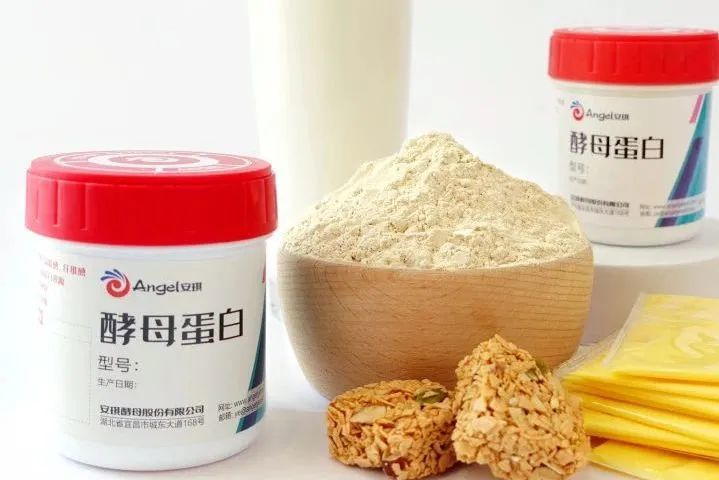 安琪酵母蛋白 安琪酵母蛋白