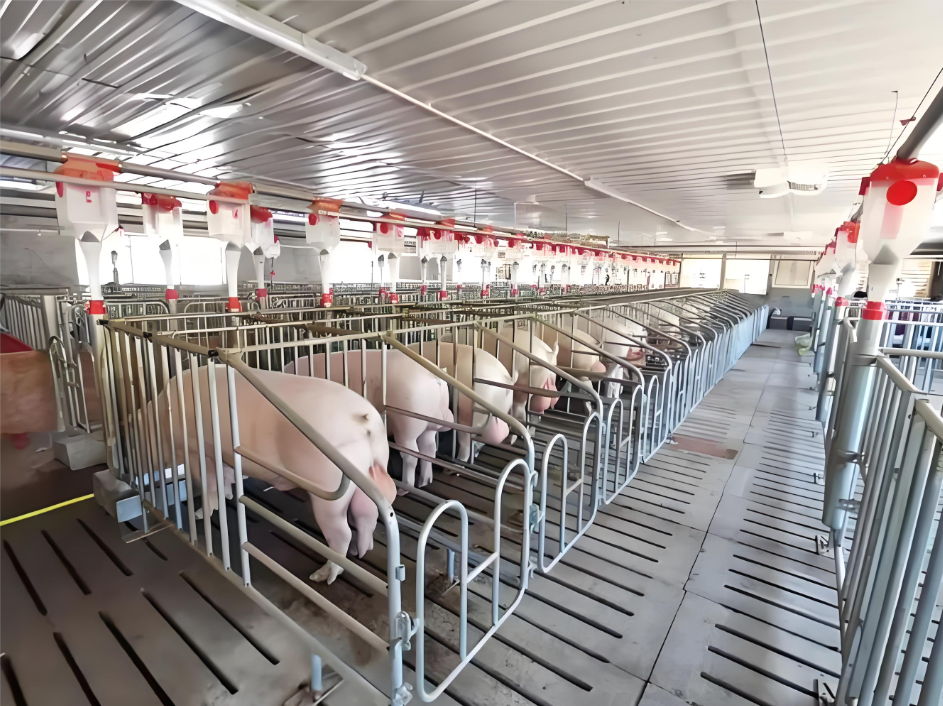 琪益酸 100 让环保与盈利并行 琪益酸 100 让环保与盈利并行