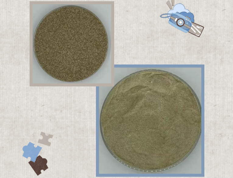 安琪已将马克斯克鲁维酵母31691开发为粉状和颗粒状原料