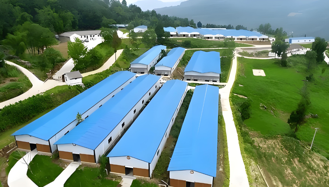 琪益酸100:环保减排 琪益酸100:环保减排