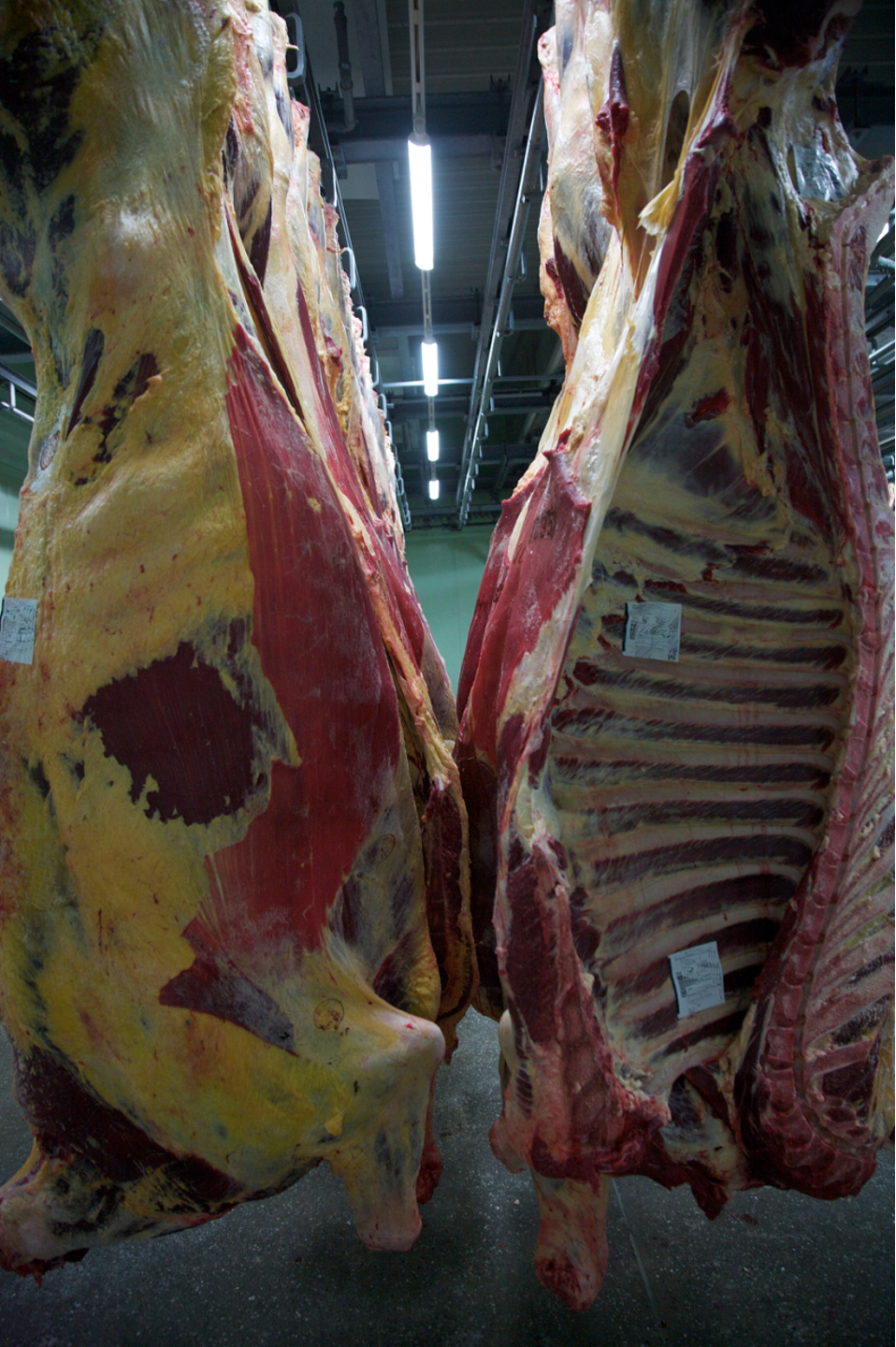 肉牛羊出栏时体型好、无油包、长肉快