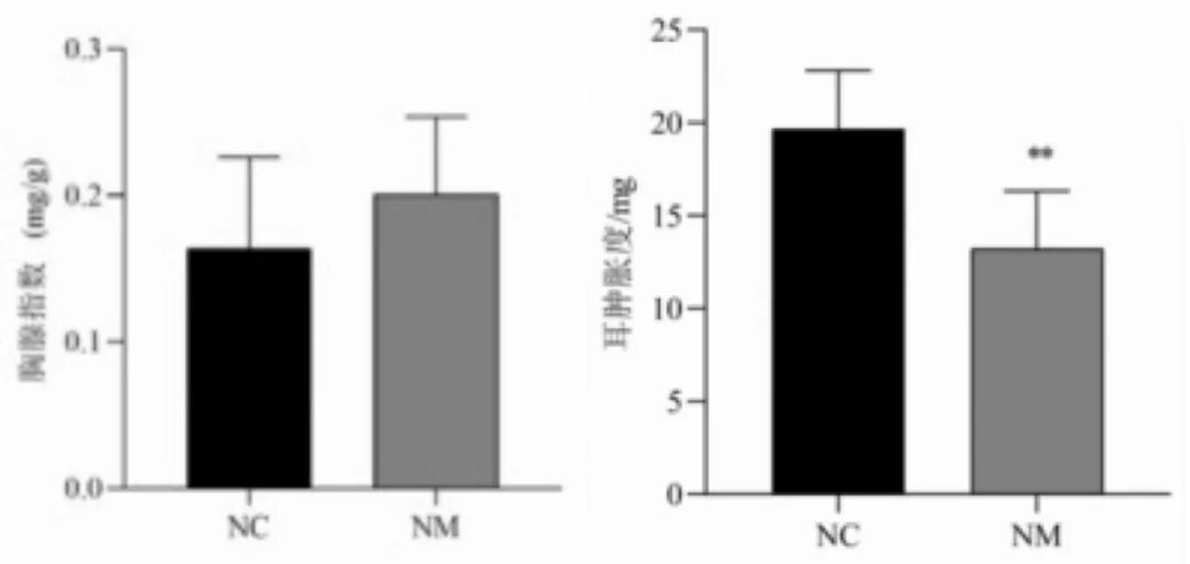 马克斯克鲁维实验组