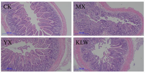 酵母能降低血清特异性IgE抗体水平