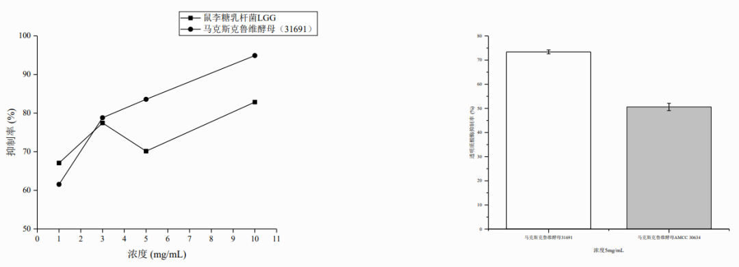 马克斯克鲁维酵母31691 对透明质酸酶活性的抑制率研究
