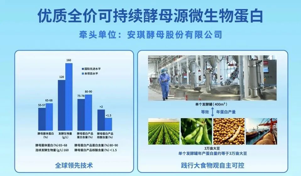 优质全价可持续酵母源微生物蛋白