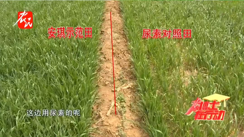 酵母代谢物富含的生物刺激素成分