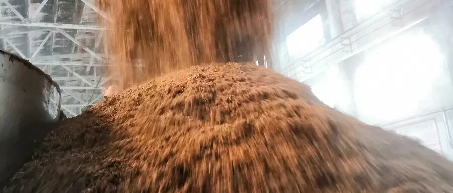 安琪酿酒曲创新实践