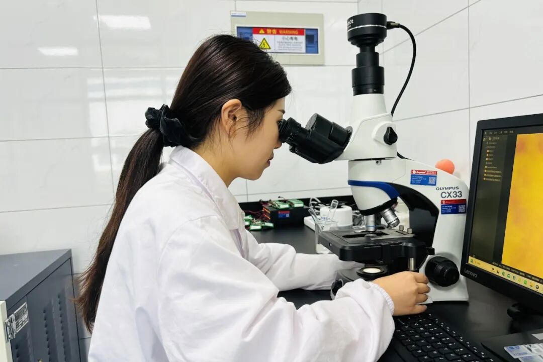 安琪睢县把品质视为企业生命线 安琪睢县把品质视为企业生命线