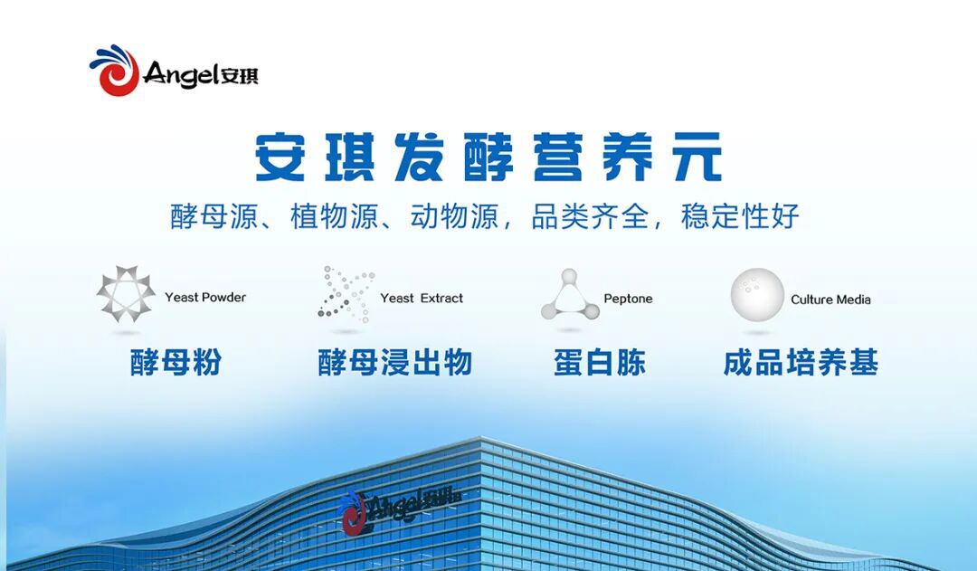 安琪试剂级有机氮源系列