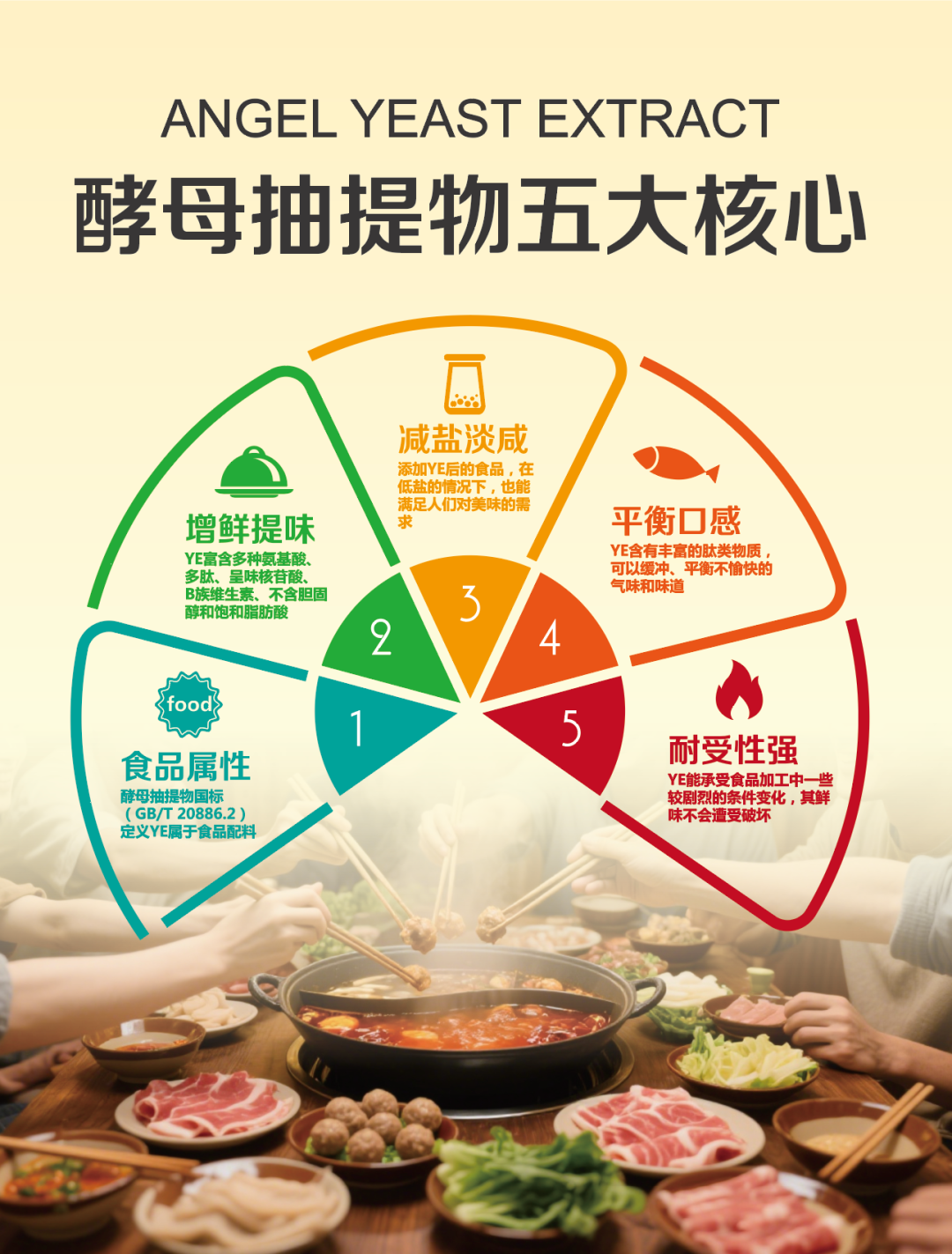 酵母抽提物5大核心