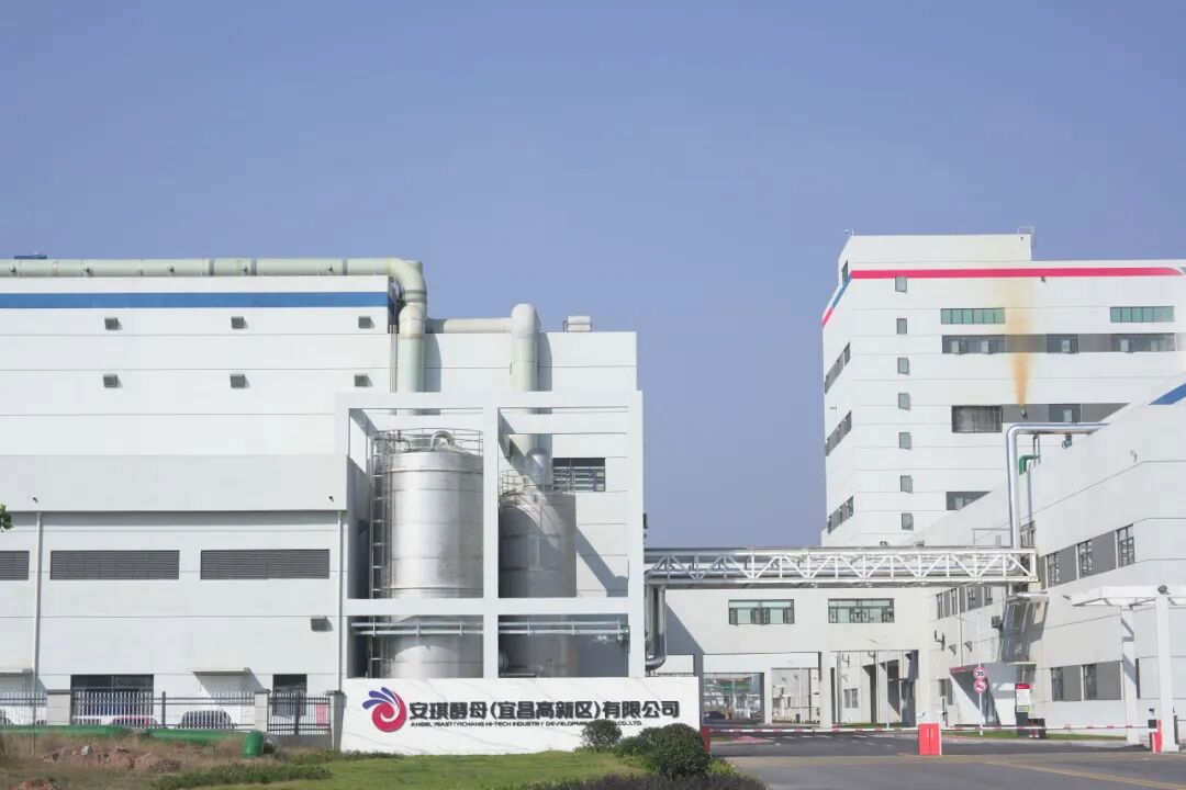 安琪酵母蛋白园区 安琪酵母蛋白园区