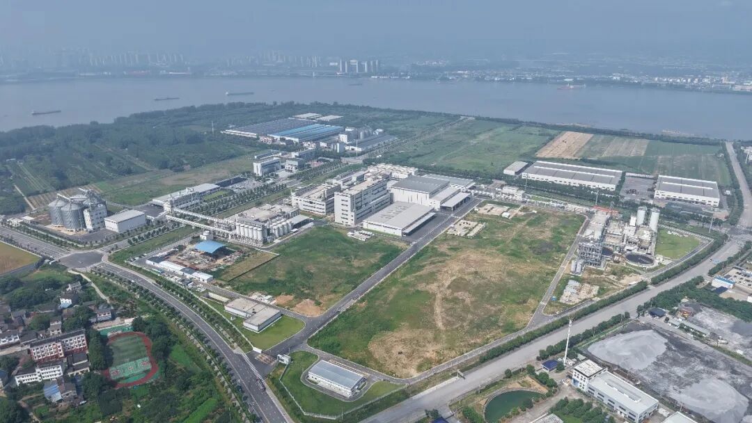 安琪白洋生物科技园的建设 安琪白洋生物科技园的建设