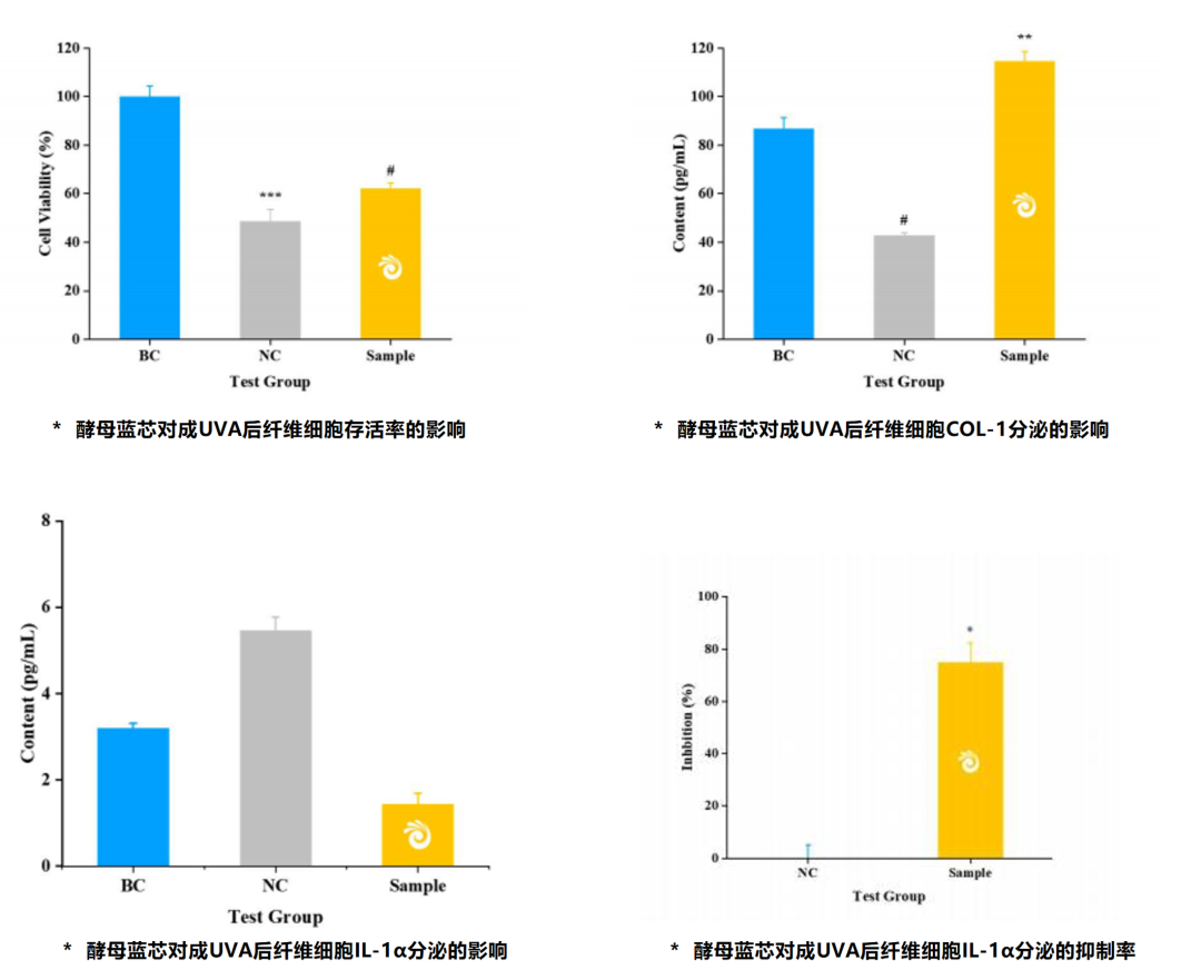 Fermthink® 酵母蓝芯 Cu25在体外UVA损伤模型中的相关结果 Fermthink® 酵母蓝芯 Cu25在体外UVA损伤模型中的相关结果