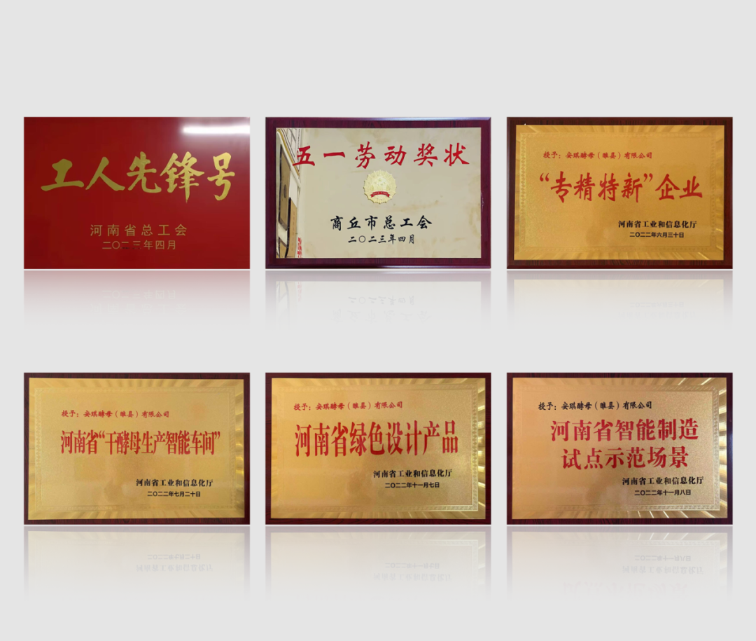 安琪睢县在产能和产品上积累 安琪睢县在产能和产品上积累