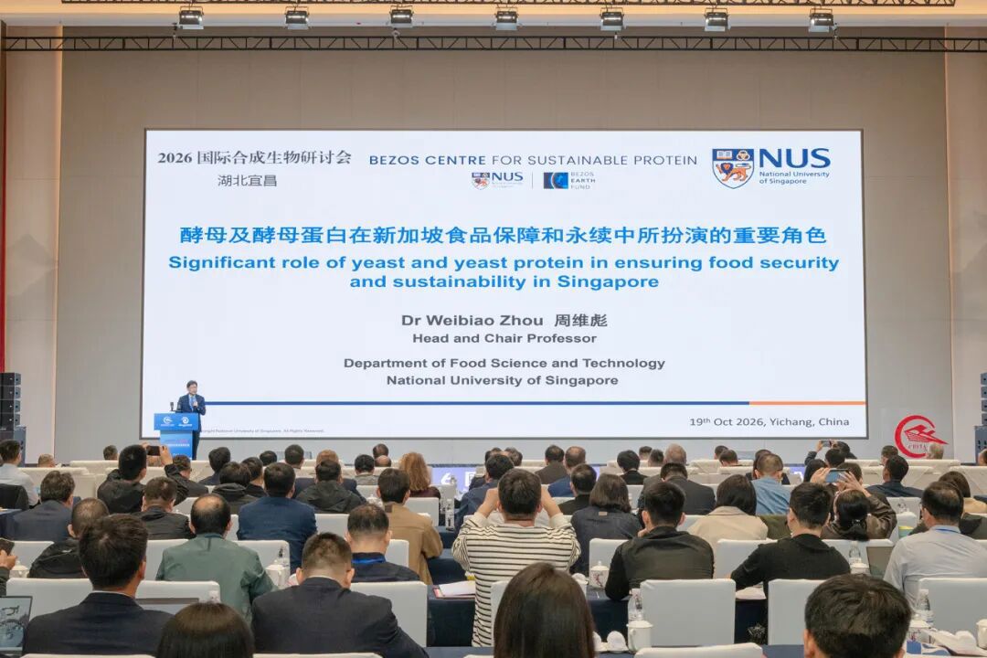 新加坡国家科学院院士周维彪作主旨报告 新加坡国家科学院院士周维彪作主旨报告