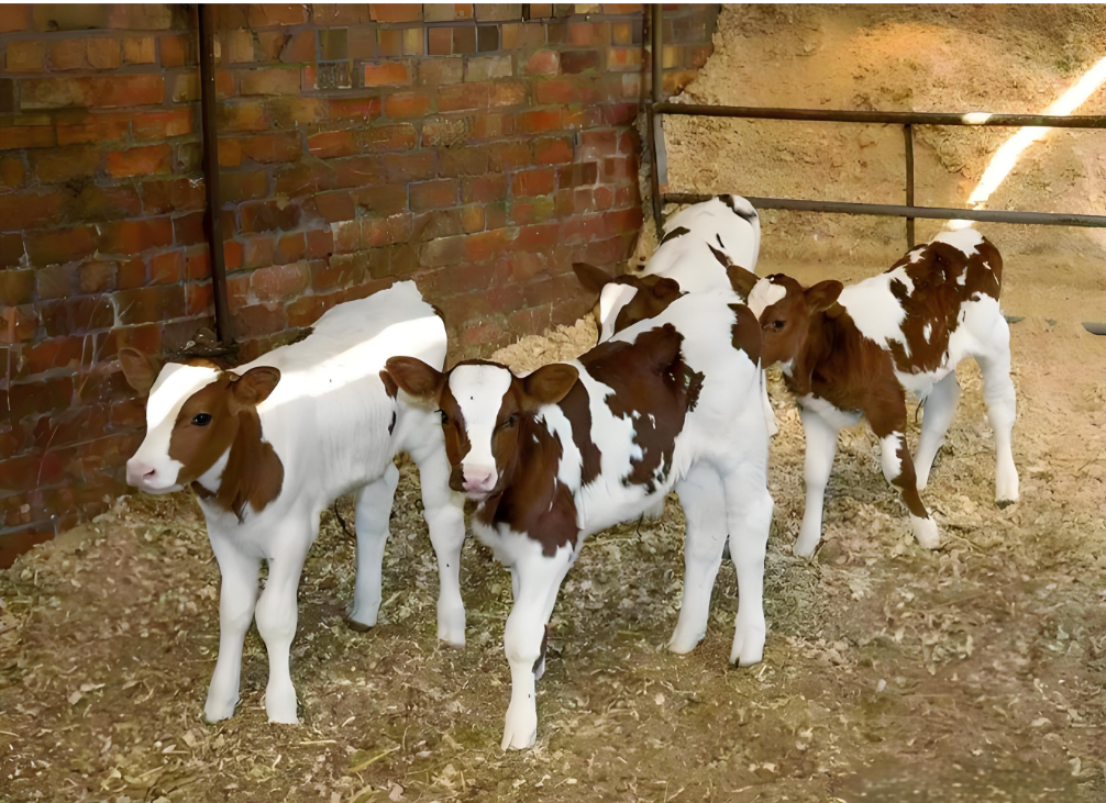 破解幼龄反刍动物腹泻难题