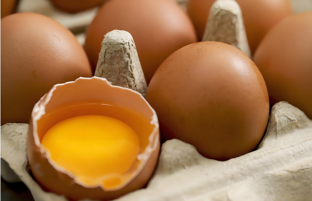 吉奥康(富硒型)改善鸡蛋 吉奥康(富硒型)改善鸡蛋