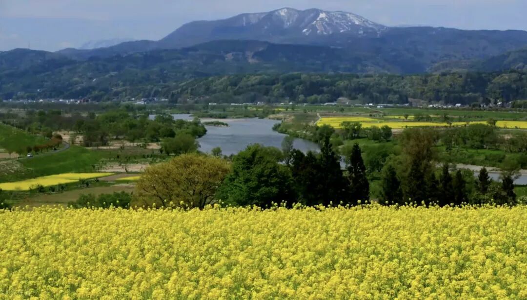 西南地区施肥现状