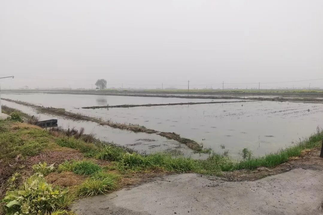 持续的生态调控方案