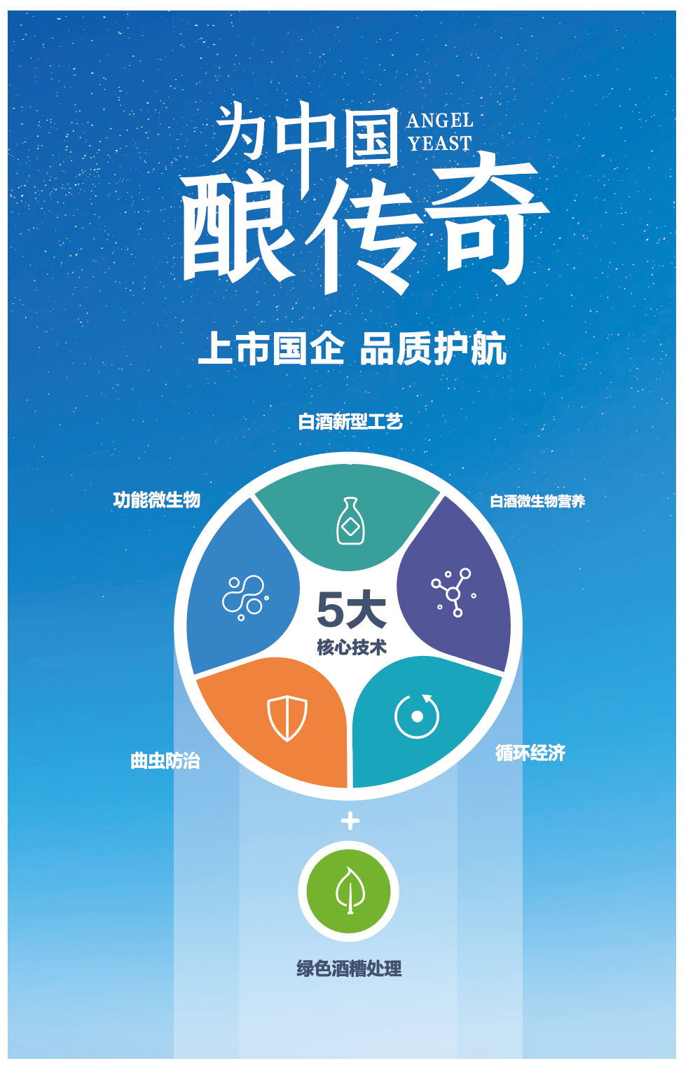 安琪酒曲5大核心技术 安琪酒曲5大核心技术