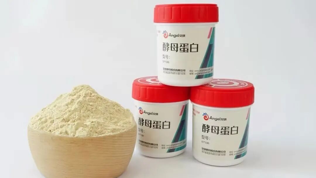 AnPro®酵母蛋白：未来食品的创新蛋白源