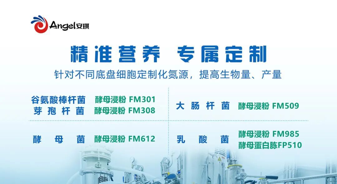 安琪酵母浸粉 安琪酵母浸粉