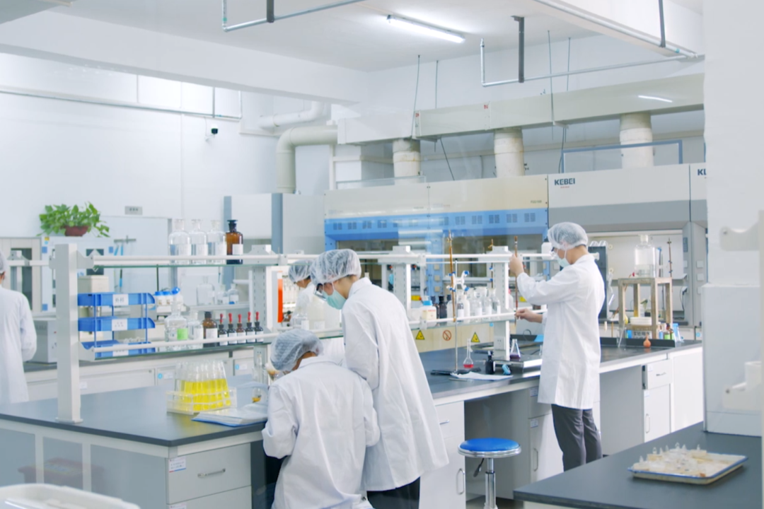 安琪酵母深耕生物科技领域