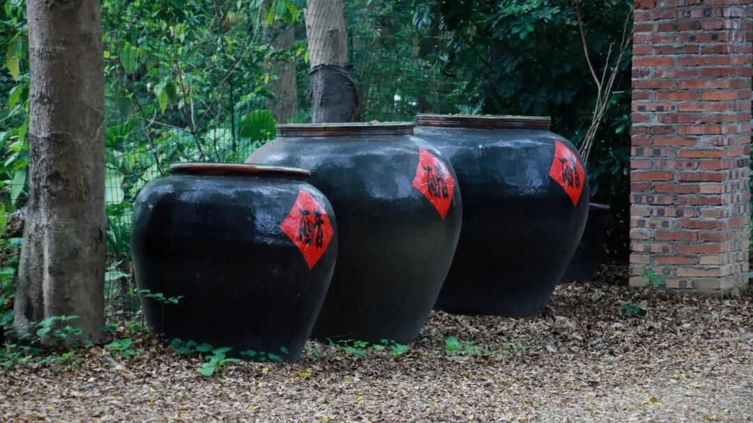 醋发酵营养元Z31：食醋提质增效解决方案