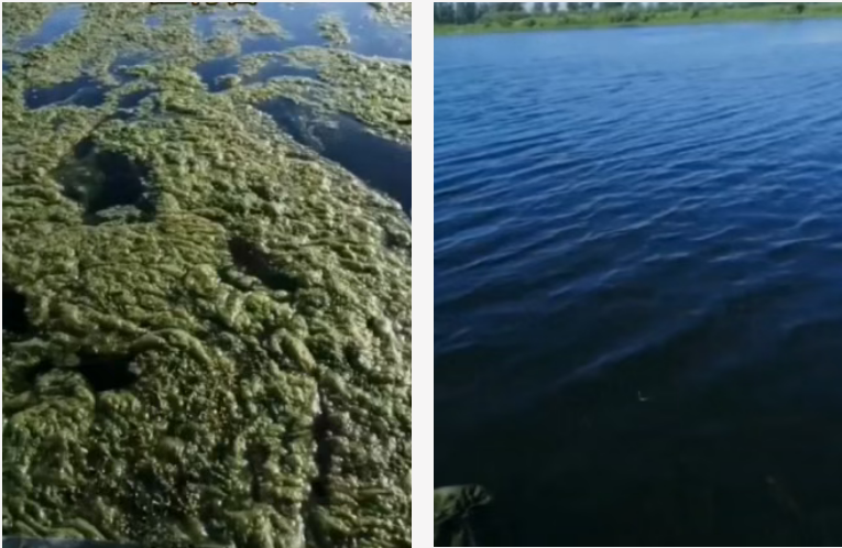 益水泰净使用前后效果图