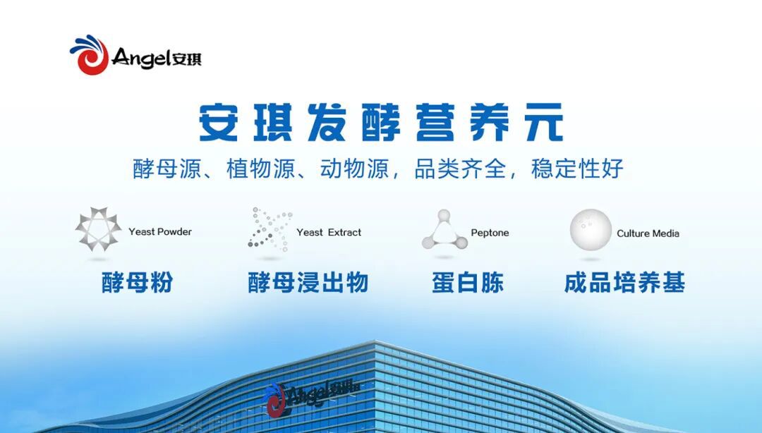 安琪发酵营养元 安琪发酵营养元