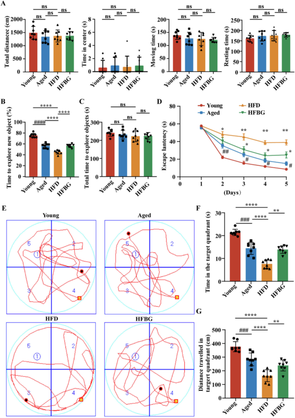 长期补充酵母β-葡聚糖可改善高脂饮食诱导的大鼠认知功能障碍
