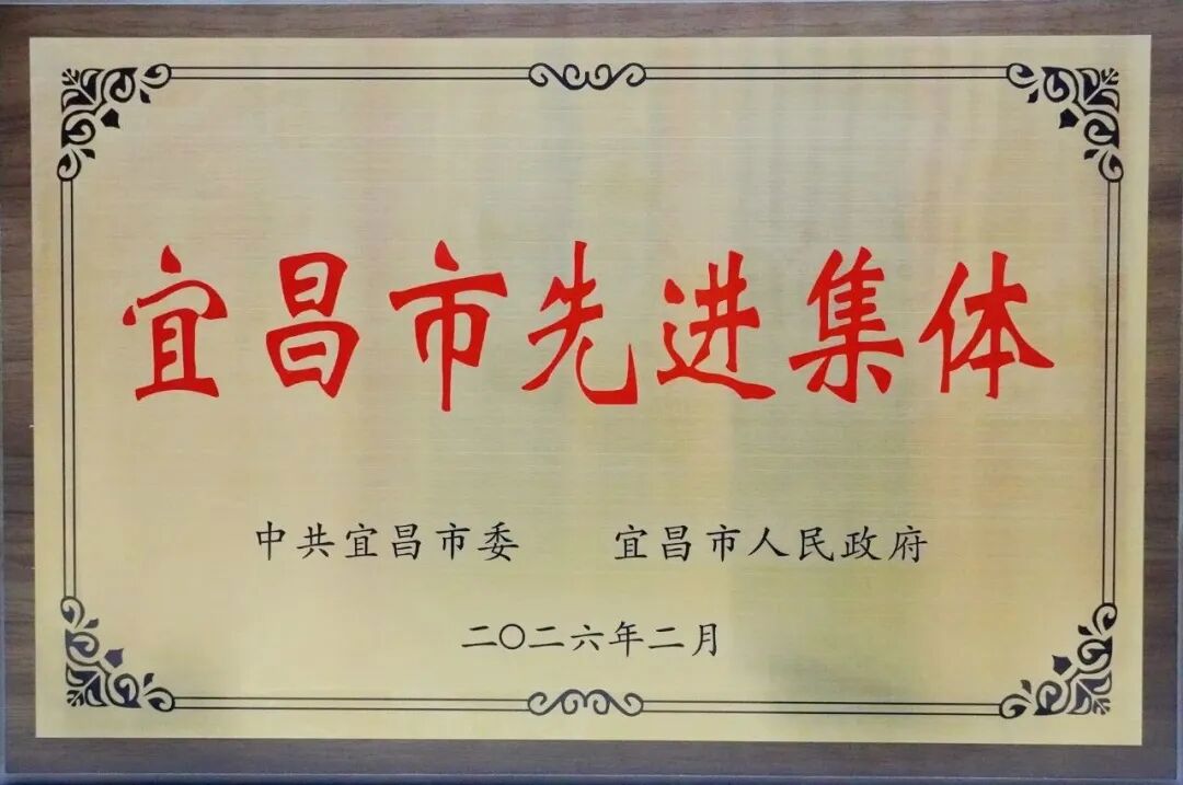 安琪集团荣获2025年度“宜昌市先进集体”称号