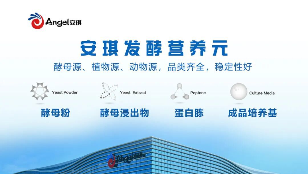 安琪发酵营养元 安琪发酵营养元