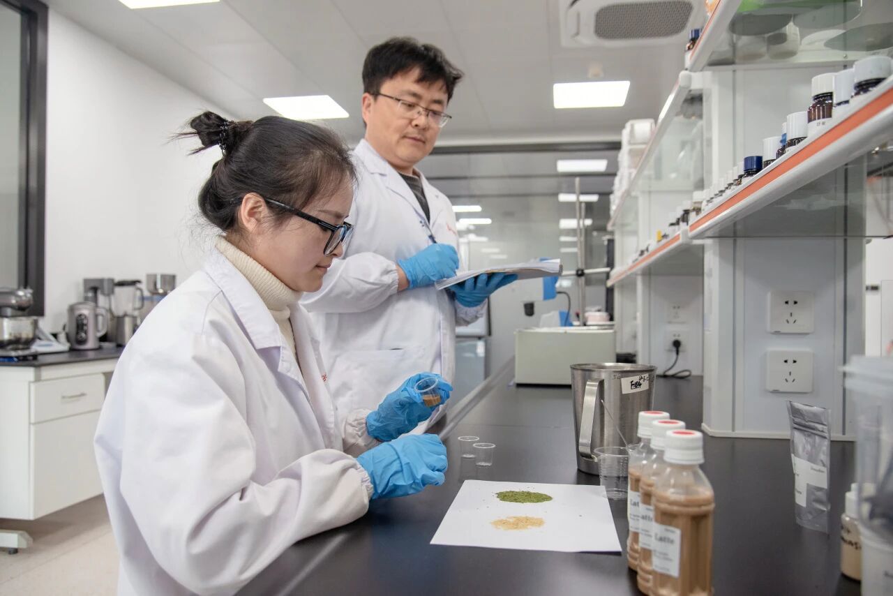 “安琪造”酵母浸出物