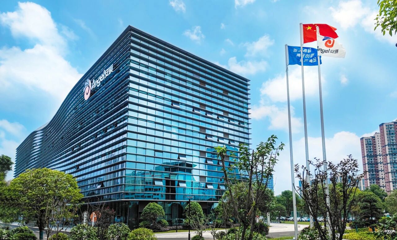 安琪集团研发综合体大楼