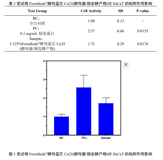 表皮屏障的强韧化