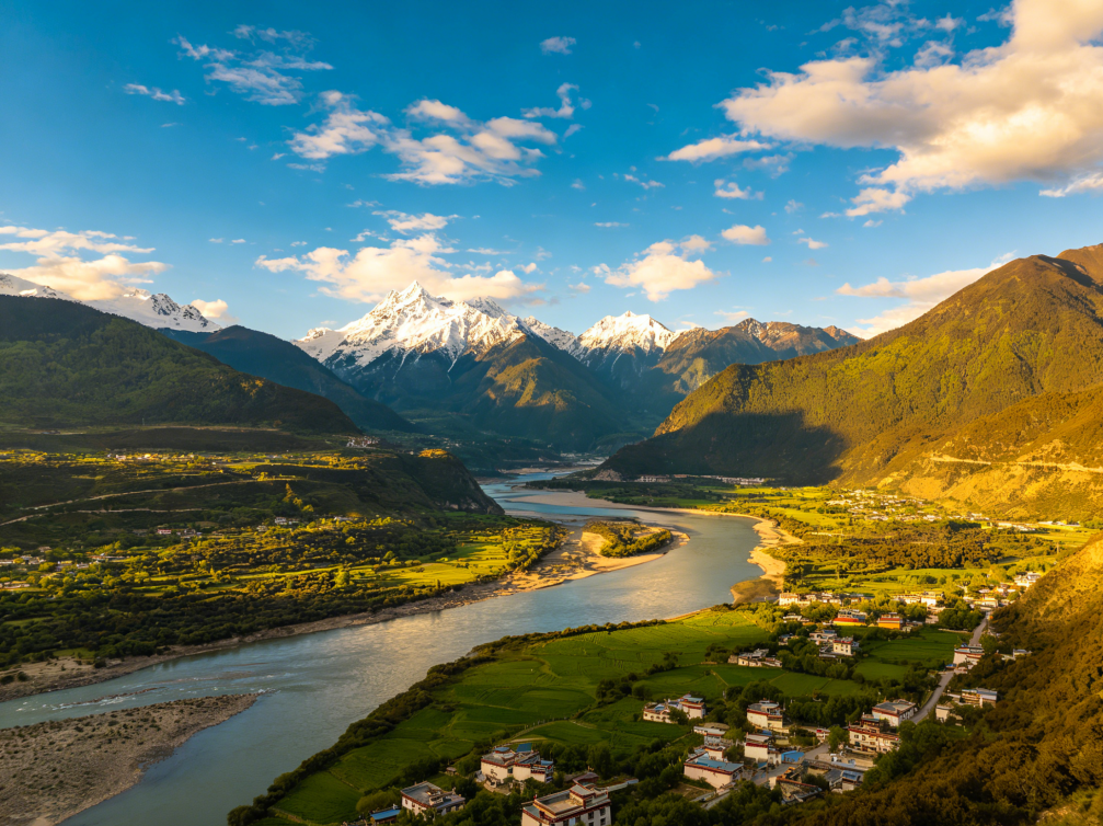酵母蓝芯Cu25通过生物发酵
