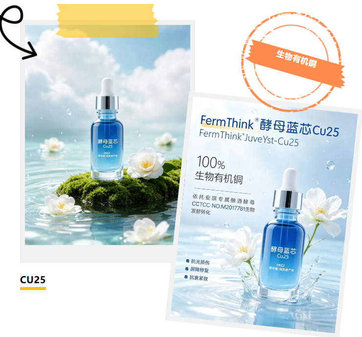 酵母蓝芯Cu25