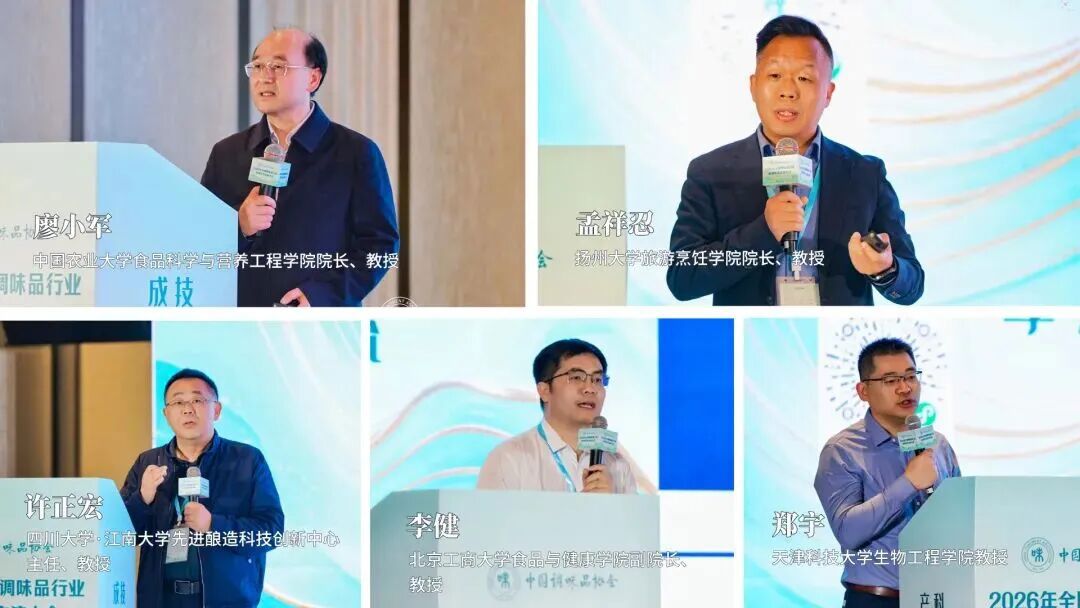 12位权威专家分享