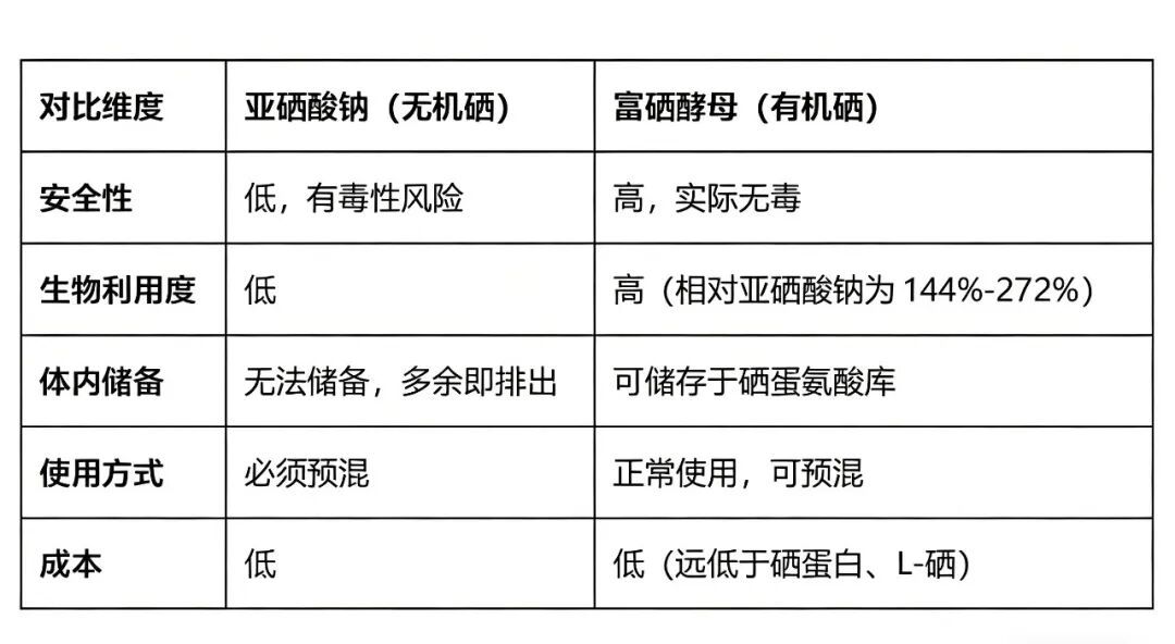 有机硒：富硒酵母——安全、高效、可储备