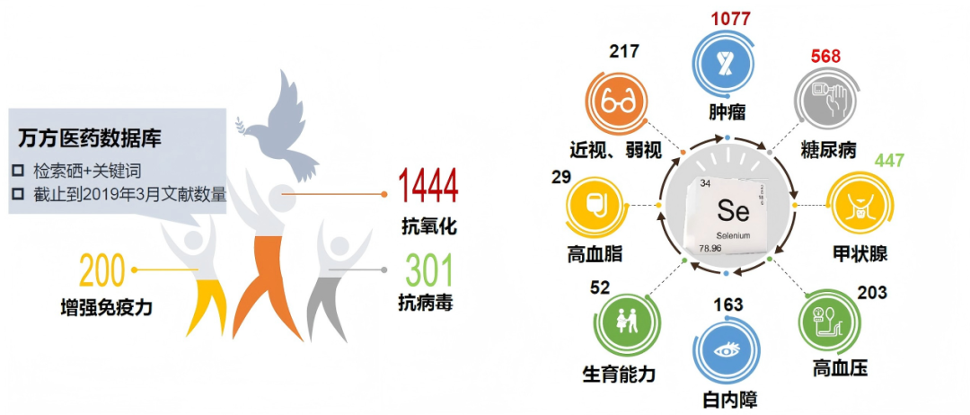 有关硒营养功能的研究