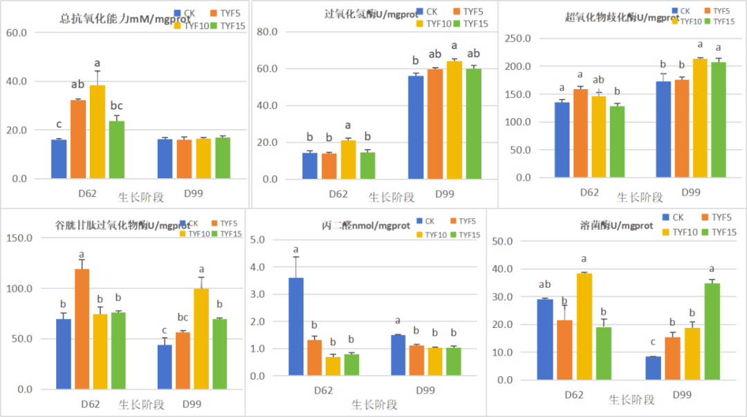 全周期替代，增强抗病力，养殖更省心