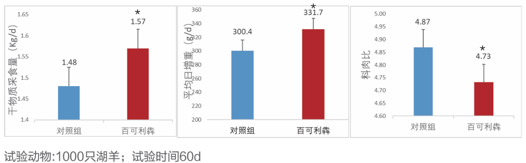 肉羊领域,百可利犇对肉羊生产性能的影响 肉羊领域,百可利犇对肉羊生产性能的影响