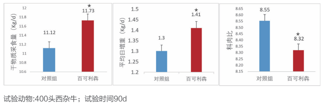 肉牛领域,百可利犇对肉牛生产性能的影响 肉牛领域,百可利犇对肉牛生产性能的影响
