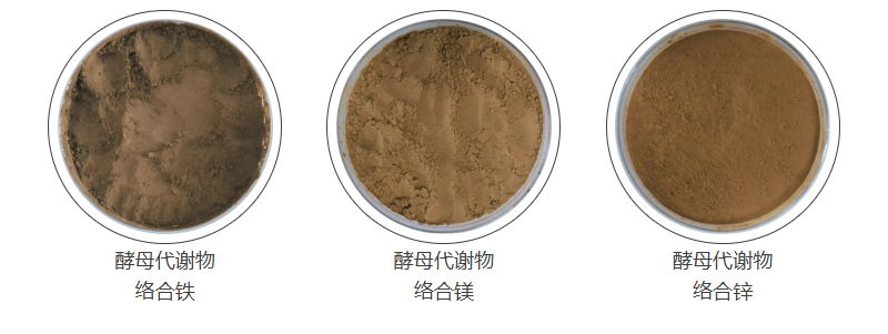 酵母代谢物中微量元素产品图例